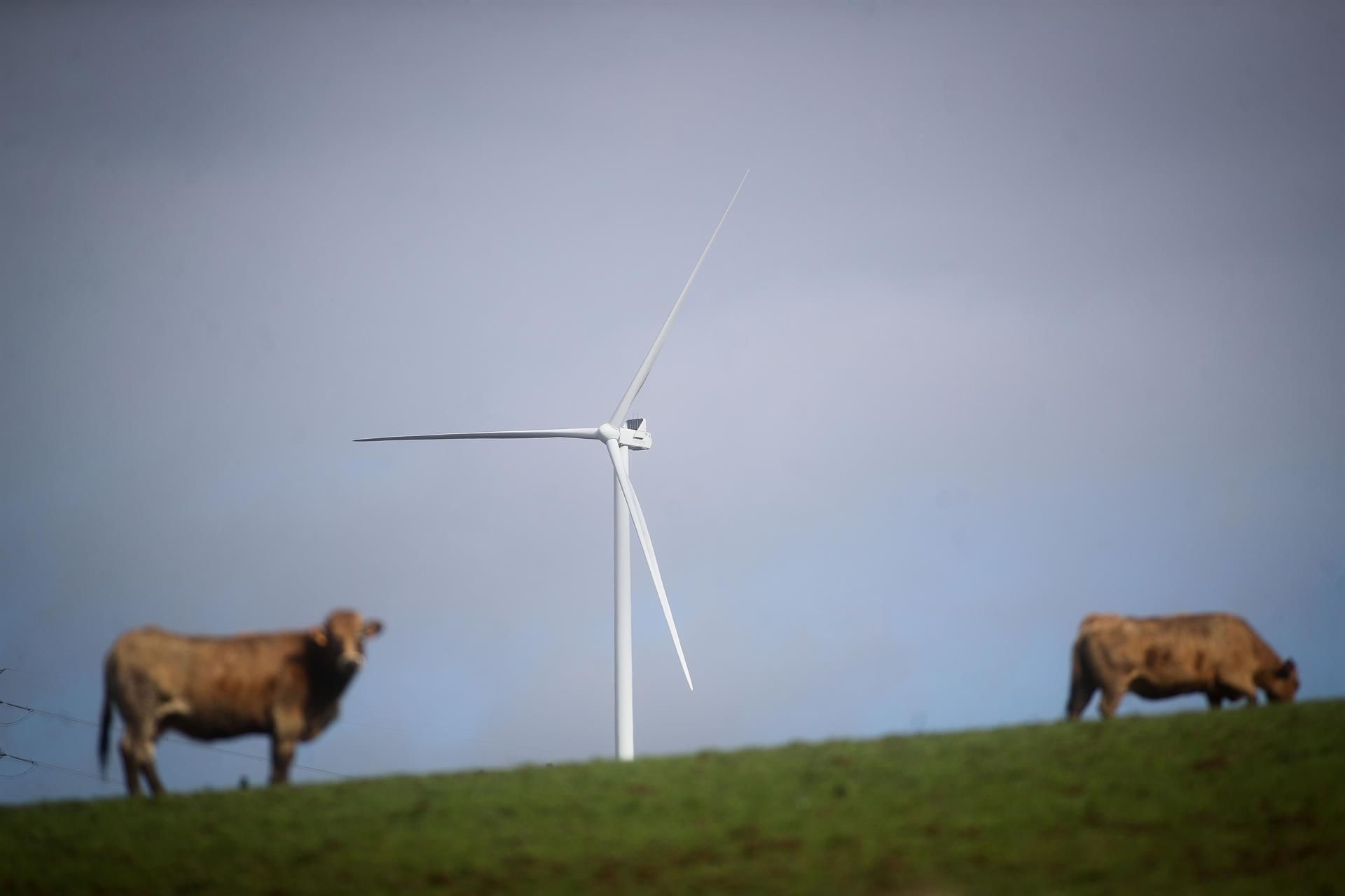 Argazkia: Europa Press / Carlos Castro Argazkia: Europa Press / Carlos Castro