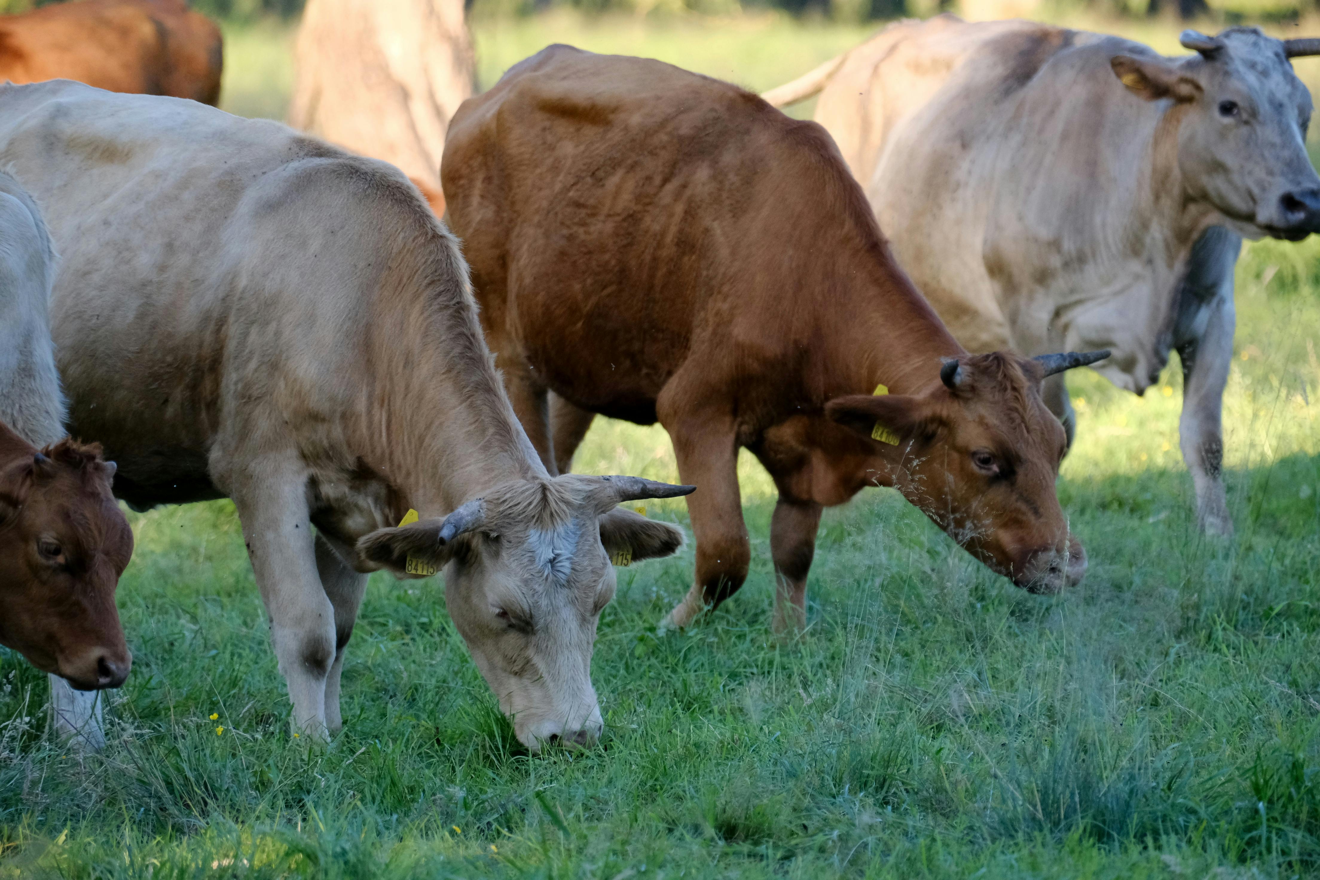 Argazkia: Nafarroako Gobernua Argazkia: Nafarroako Gobernua