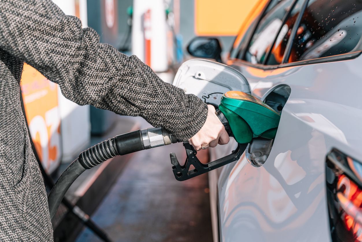 Argazkia: iStock Argazkia: iStock