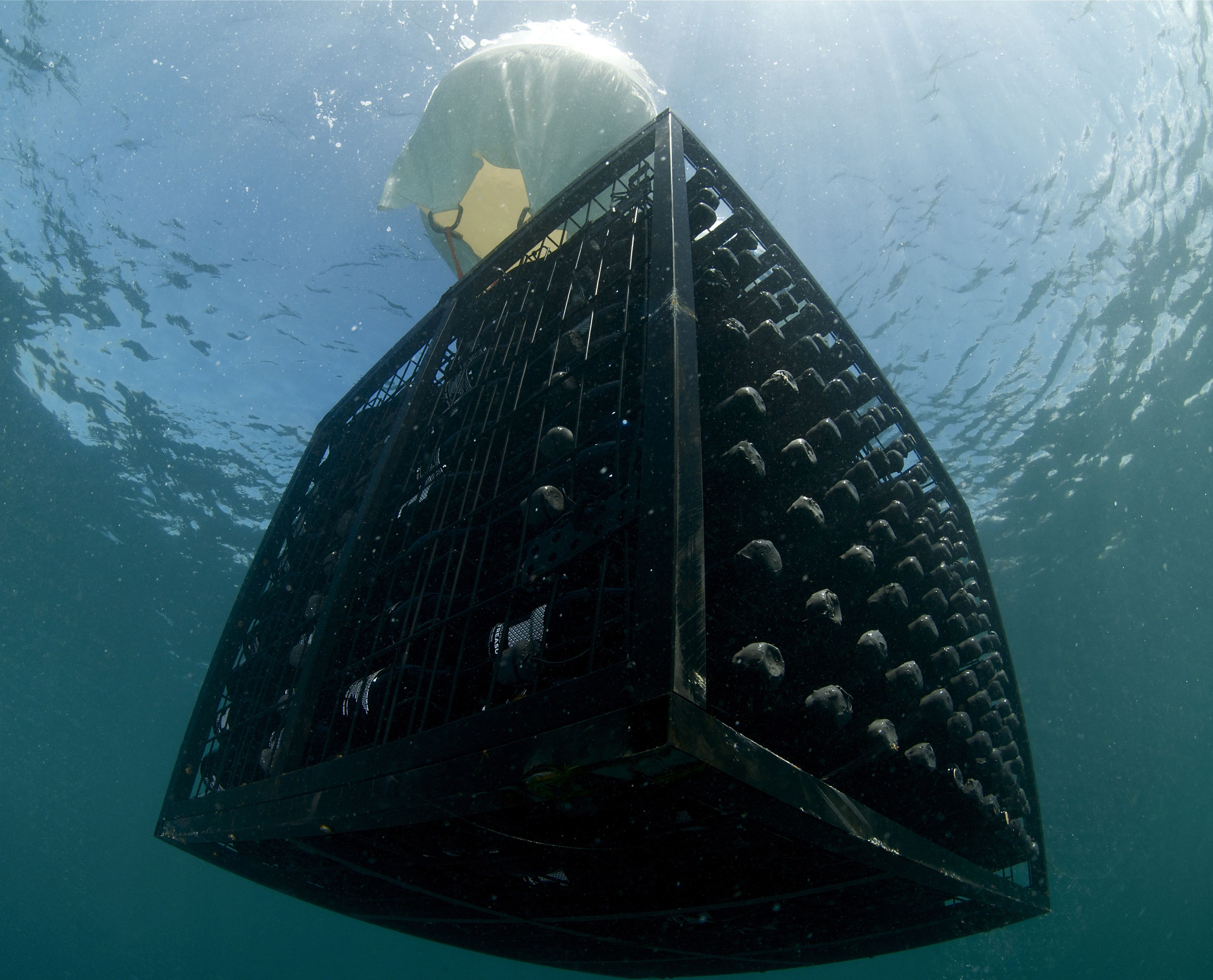 Ur azpian zaharkitutako ardoa| Argazkia: © Crusoe Treasure upategia