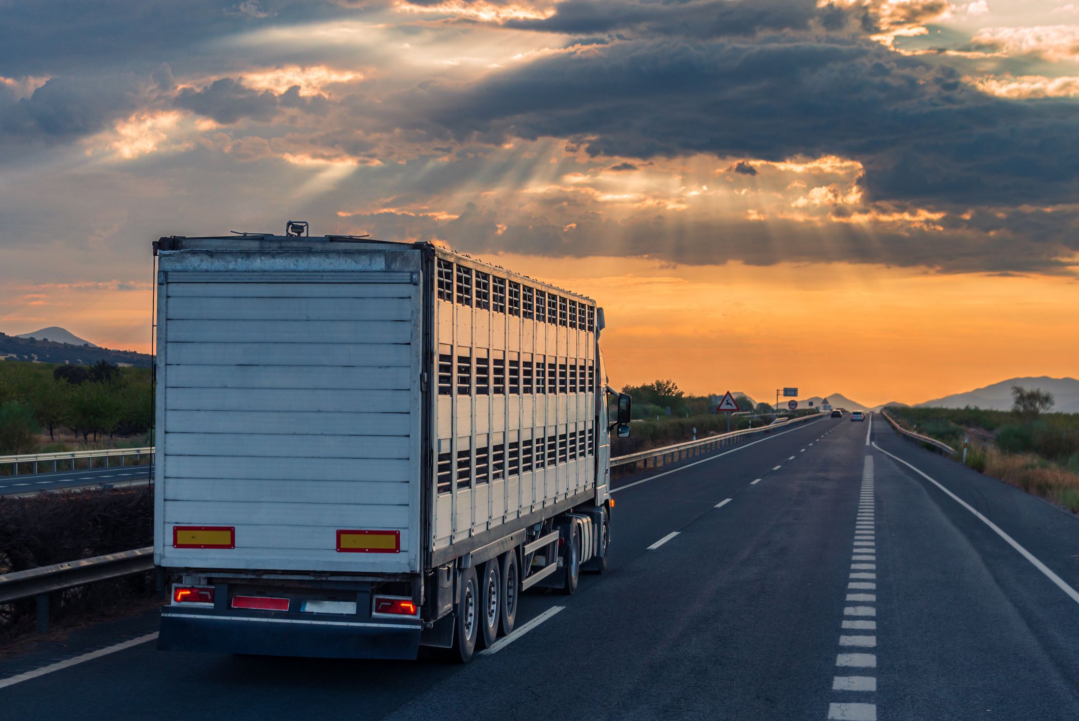 Argazkia: iStock Argazkia: iStock