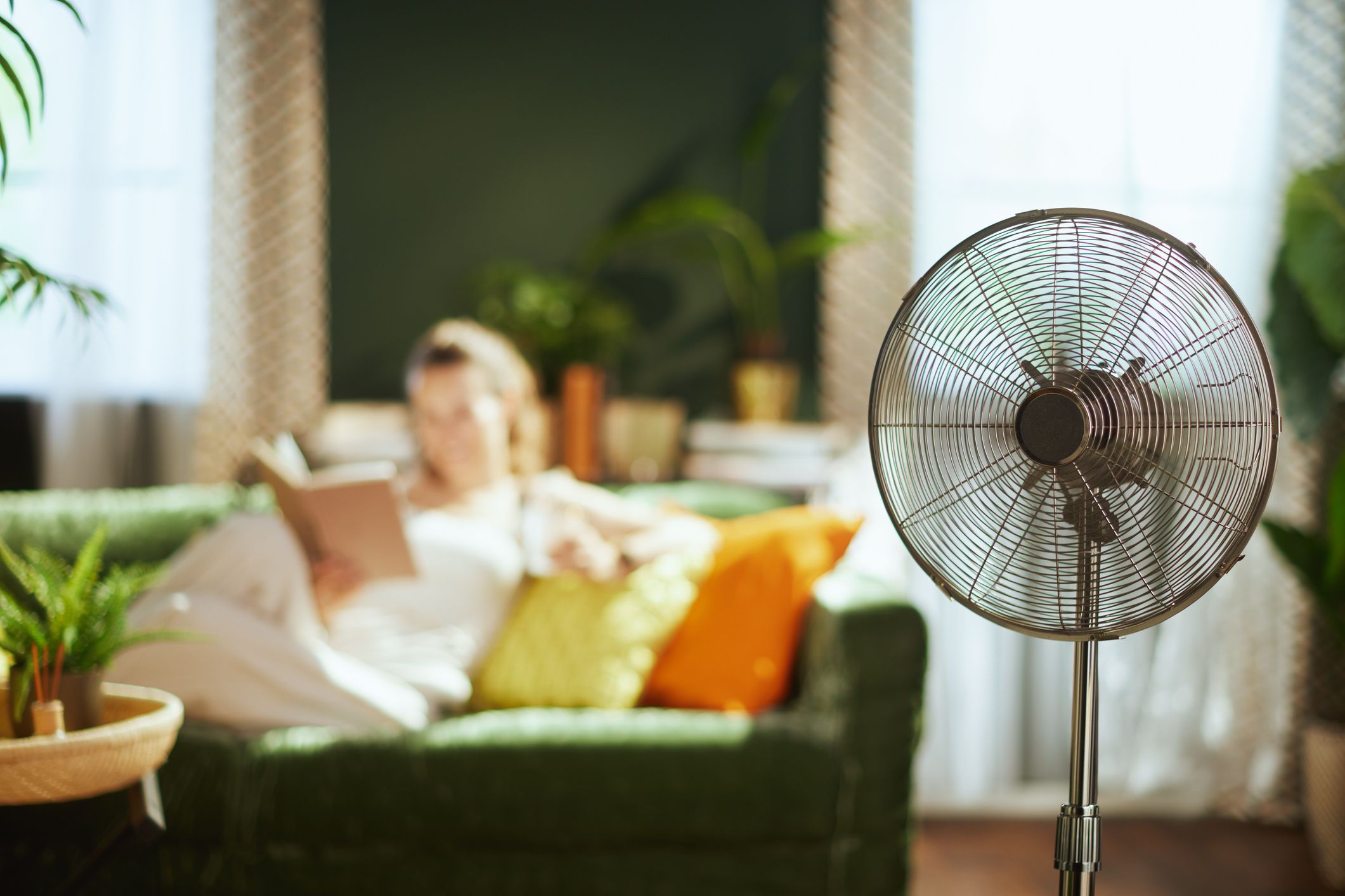 Argazkia: iStock