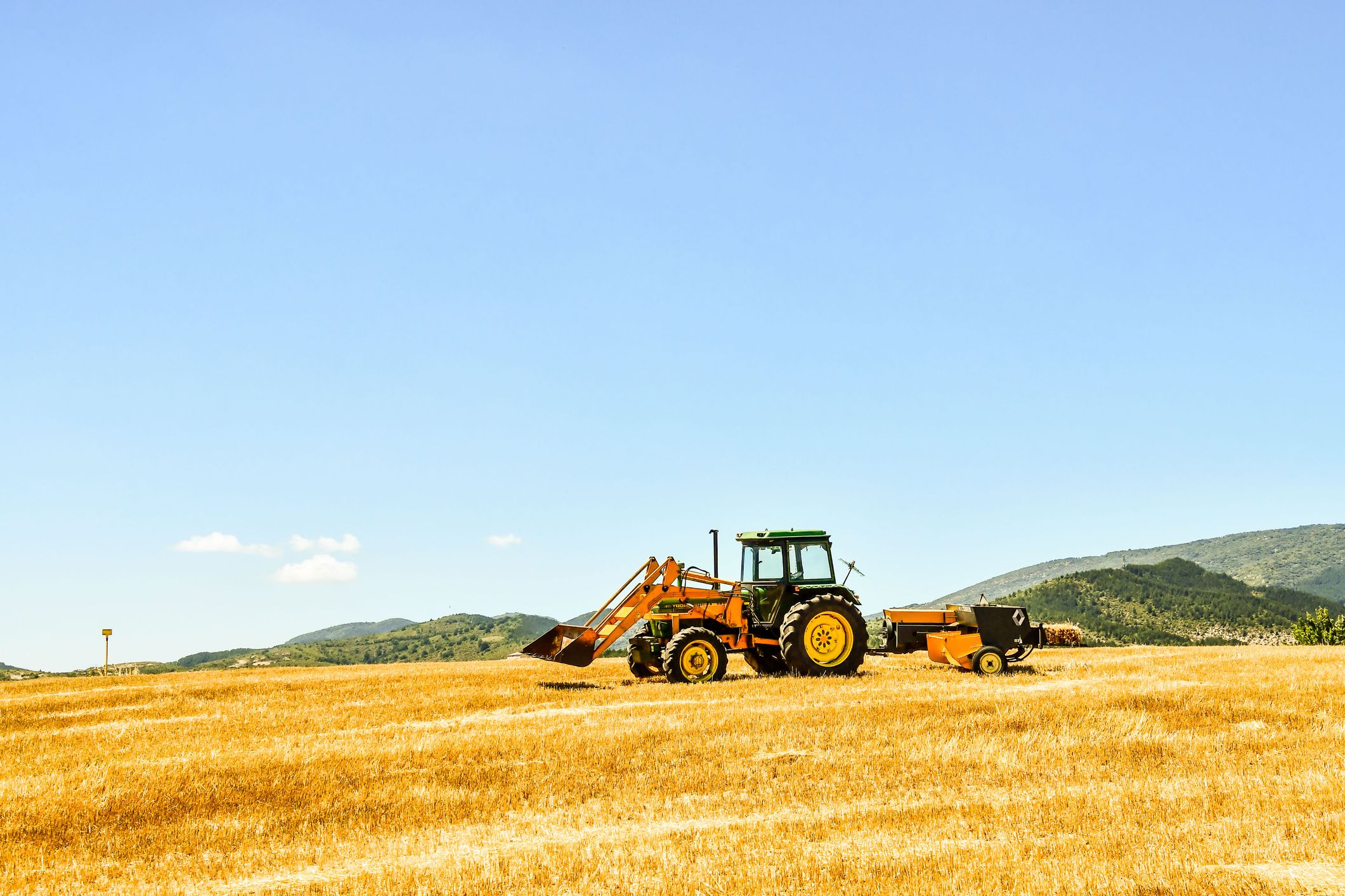 Nafarroako gari-soroak | Argazkia: iStock Nafarroako gari-soroak | Argazkia: iStock