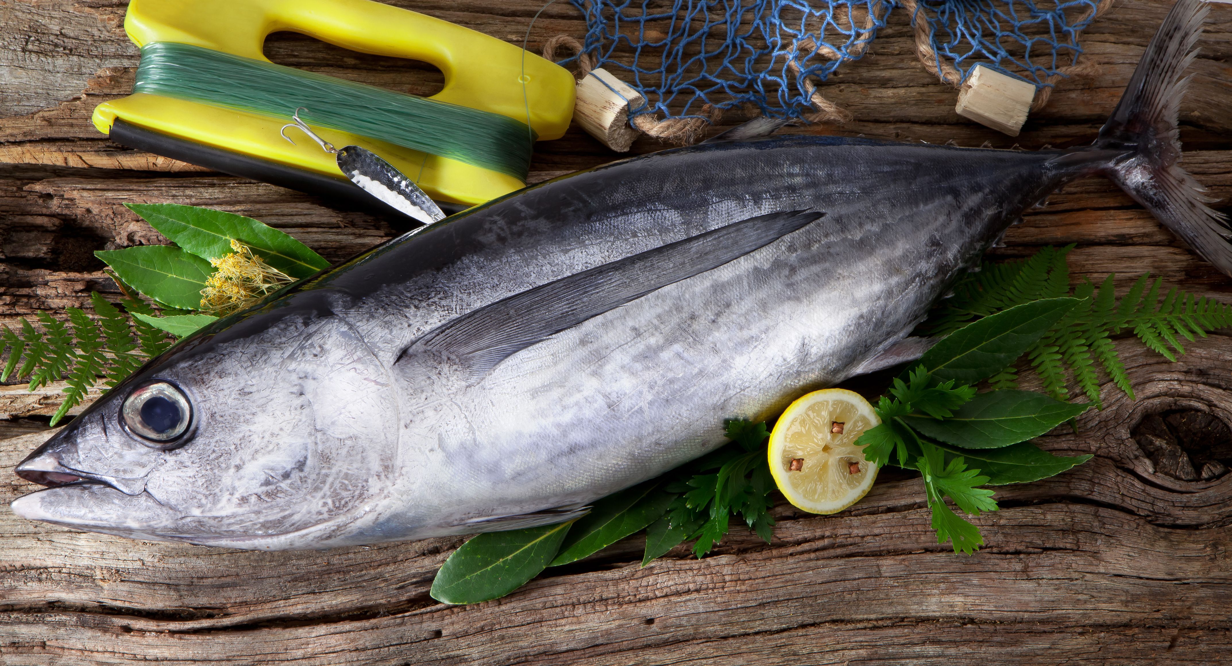 Argazkia: iStock Argazkia: iStock