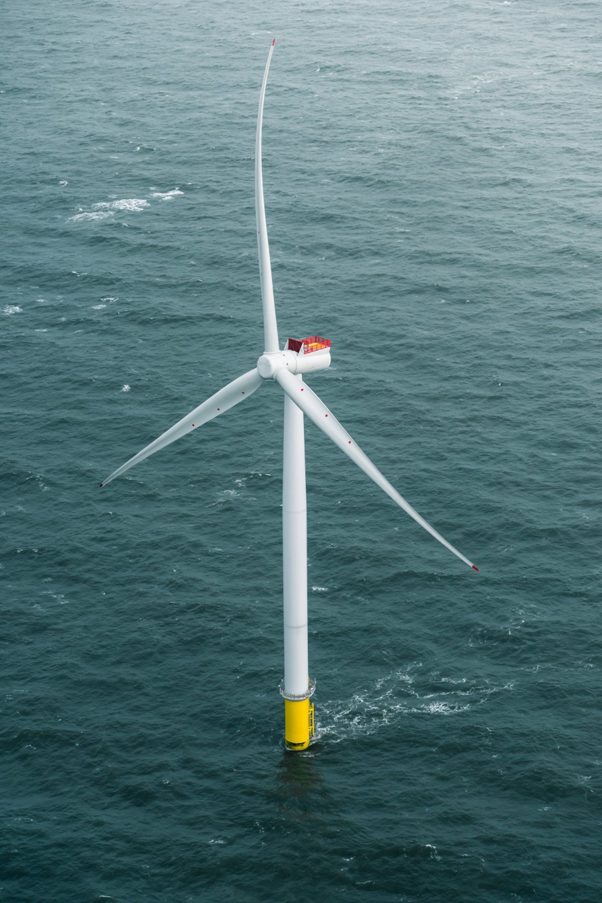 Argazkia: Siemens Gamesa