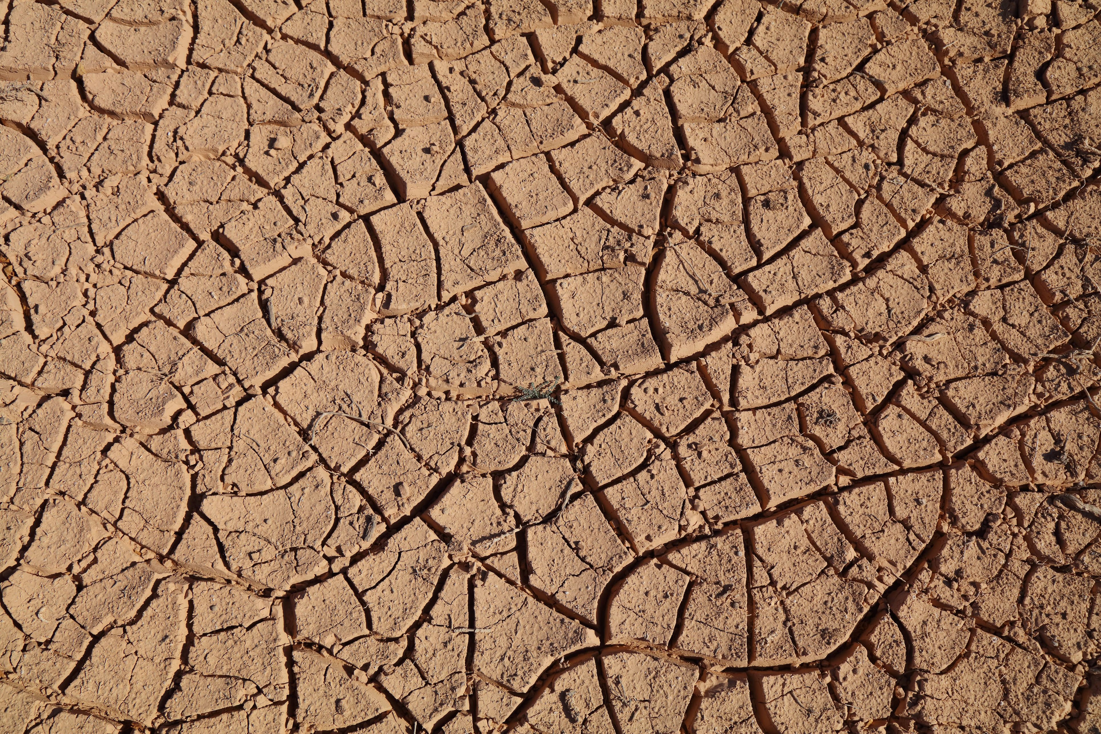 Argazkia: iStock