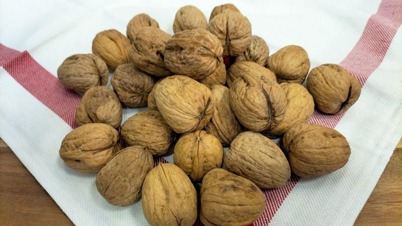 Argazkia: Nafarroako Intxaurrak Argazkia: Nafarroako Intxaurrak