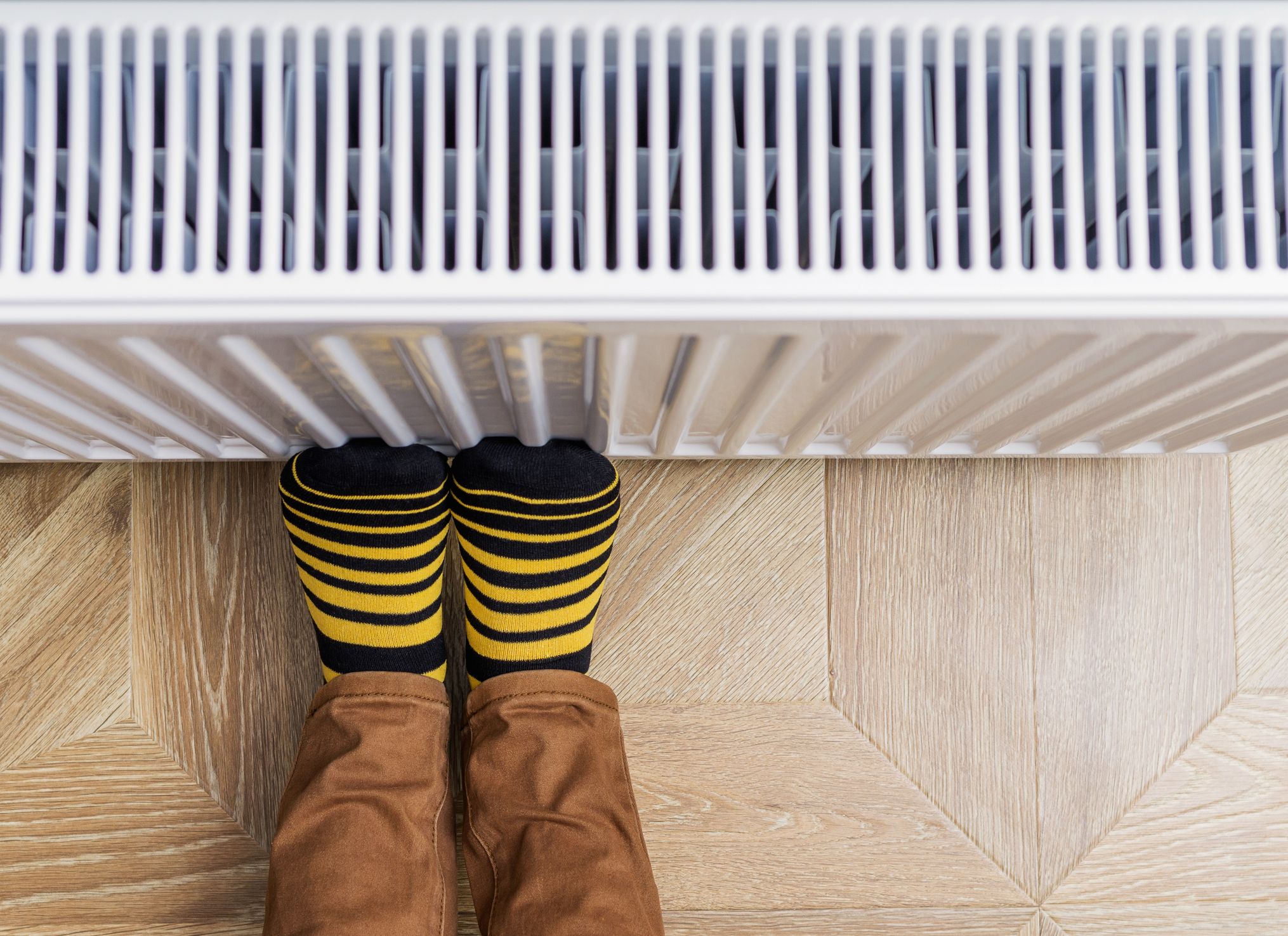 Argazkia: iStock Argazkia: iStock